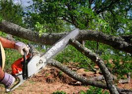 Best Residential Tree Removal  in Mount Airy, GA